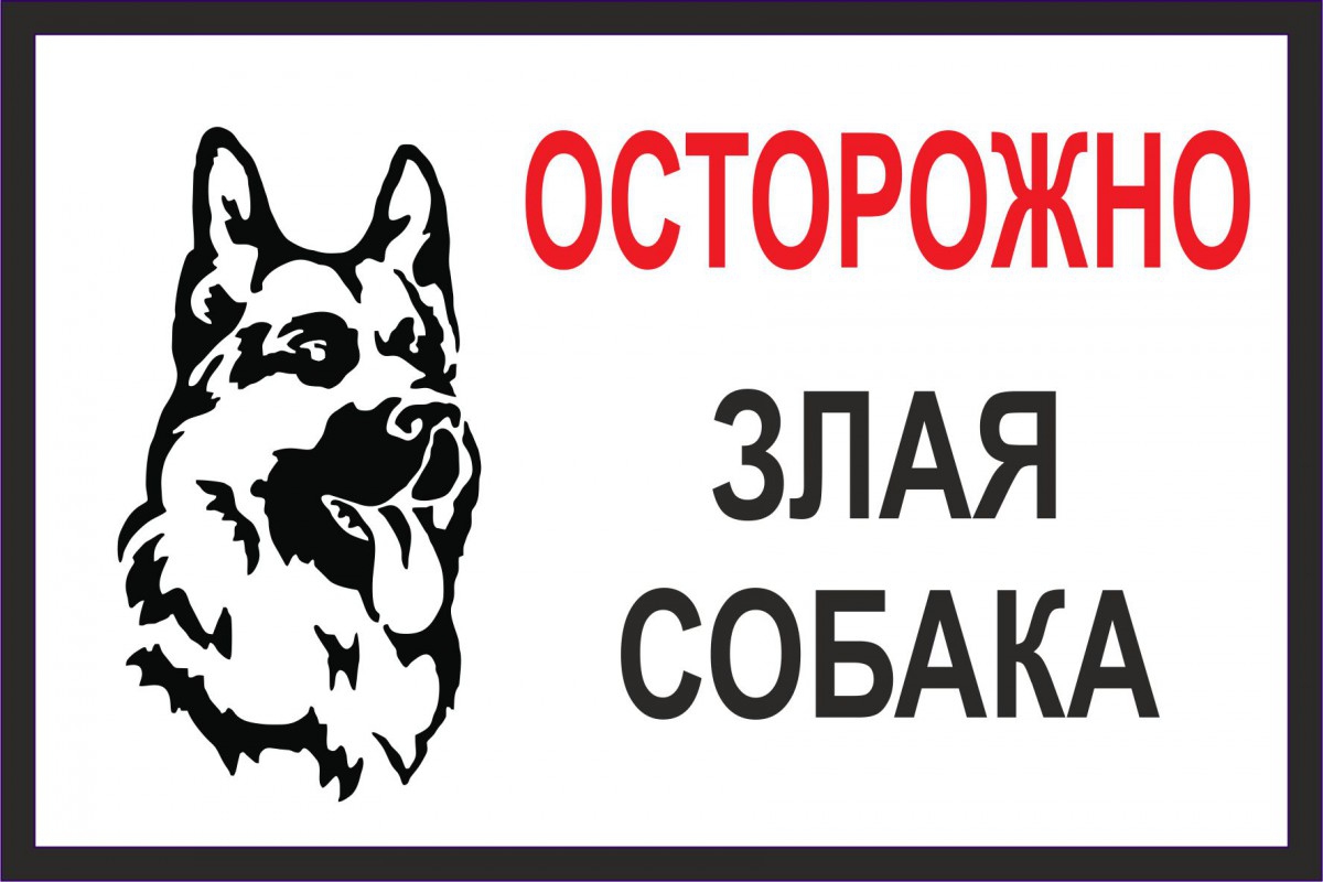 ТАБ-999 - Табличка «Осторожно злая собака» 30x21 см (композит) в Советском  (ХМАО)